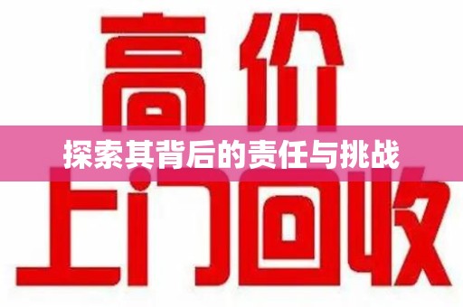 珠海探索其背后的责任与挑战
