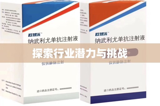 珠海探索行业潜力与挑战