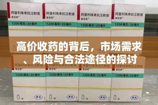 珠海高价收药的背后，市场需求、风险与合法途径的探讨