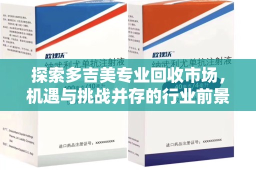 珠海探索多吉美专业回收市场，机遇与挑战并存的行业前景